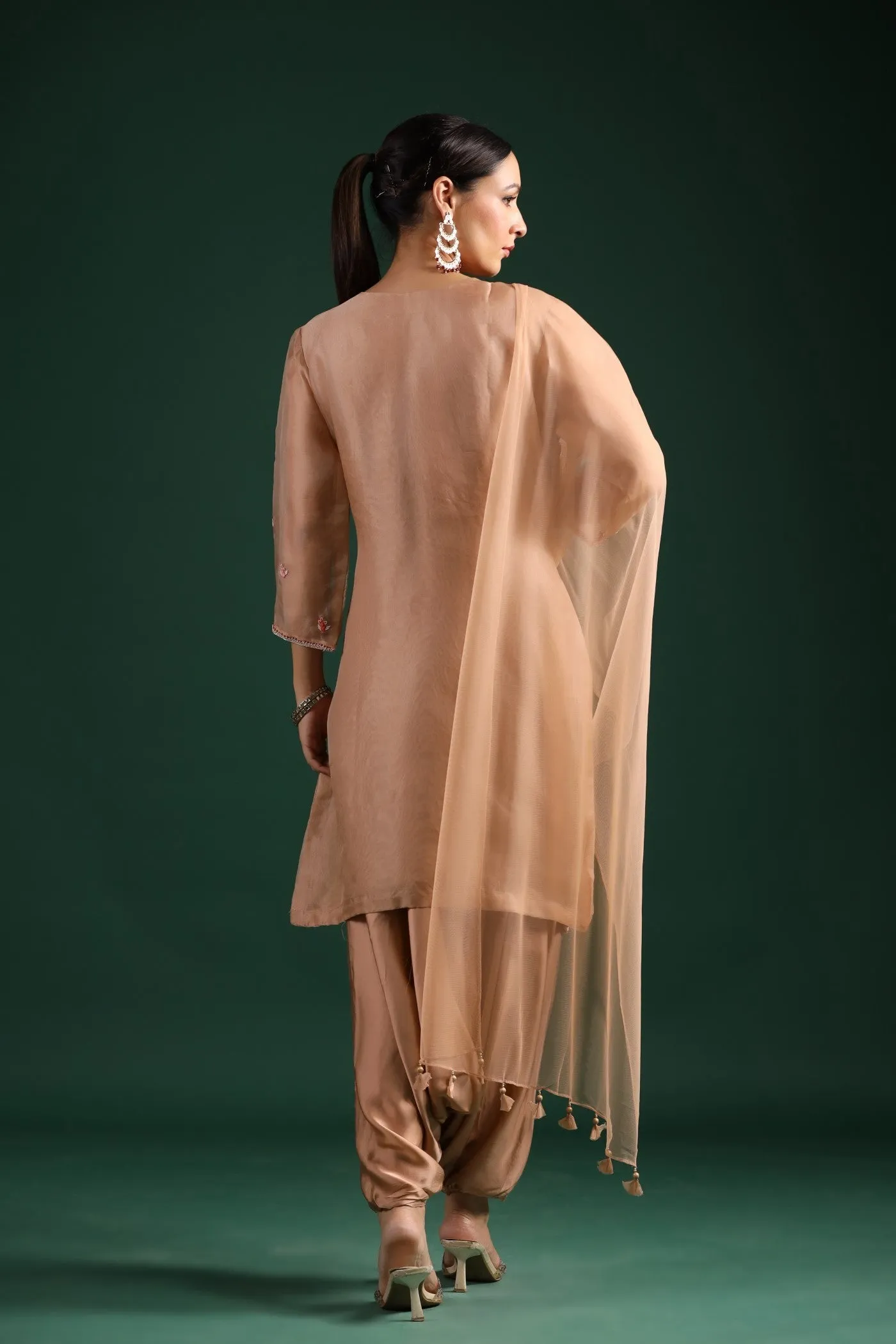 Beige Organza Silk Kurta Set